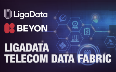 LigaData Data Platform – Beyon Bahrain